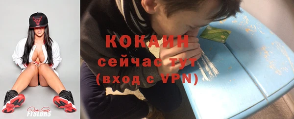 шишки Кулебаки