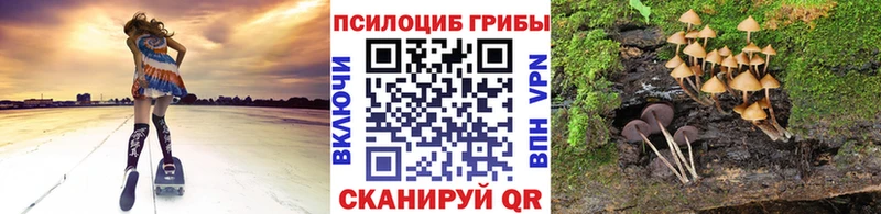цена   Фатеж  Галлюциногенные грибы Cubensis 